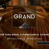 Concert Grand LE