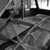 Concert Grand Session Mics D B&W