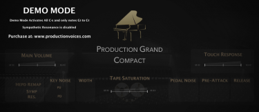 Production Grand Compact DEMO - Image 2